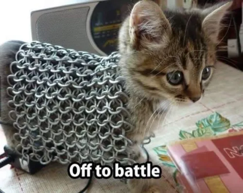 armoured cat