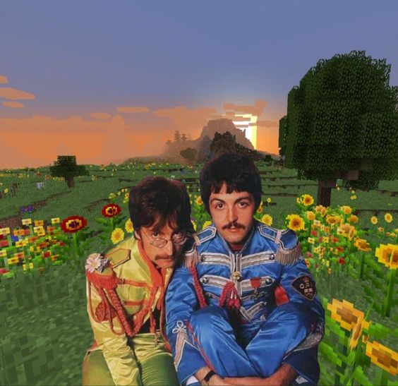 john and paul in a minecraft sunflower field